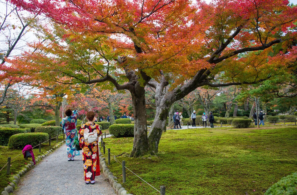 Chiêm ngưỡng vẻ đẹp của vườn Kenrokuen tại Kanazawa