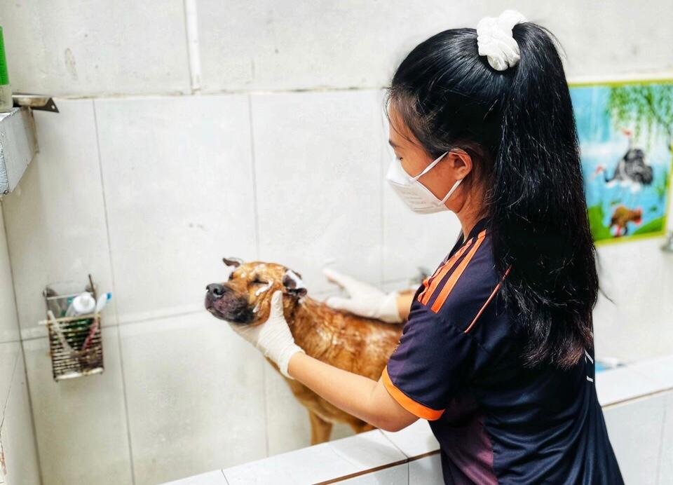Xuân Thuyên sẵn sàng chăm sóc thú cưng để bệnh nhân yên tâm chữa bệnh